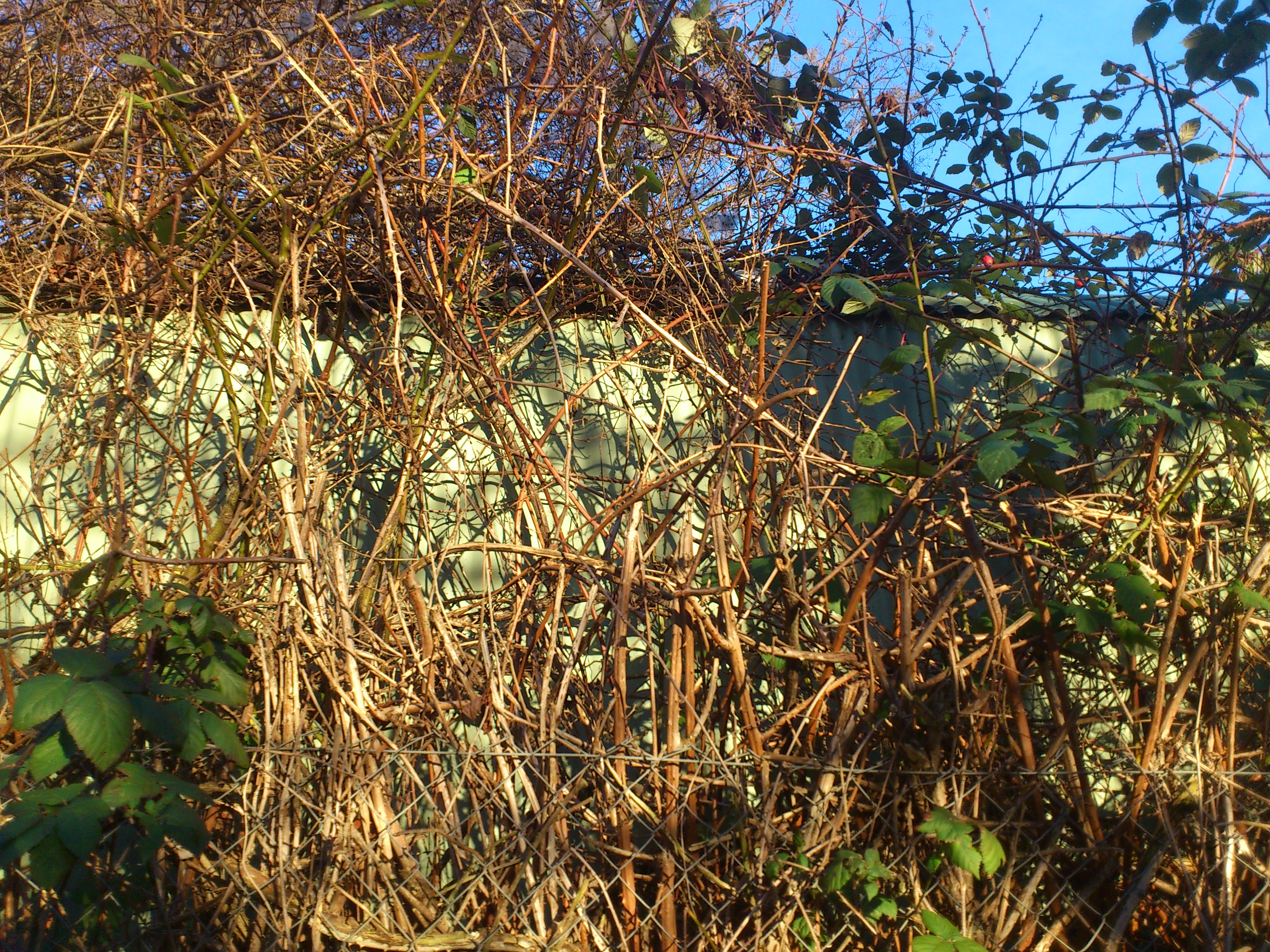 Fahrländer Sanierungsgebäude Maihälden Pforzheim 2014